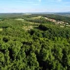 Pannonhalmi Főapátság Pannonhalma - 