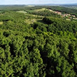 Pannonhalmi Főapátság Pannonhalma - Egyéb