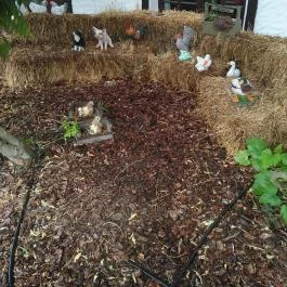 Sári Csárda Dunakiliti - Külső kép