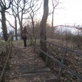 Széchenyi Zsigmond Mezőgazdasági Szakgimnázium & Szakközépiskola Kollégiuma Somogyzsitfa - Környék