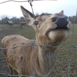 Széchenyi Zsigmond Mezőgazdasági Szakgimnázium & Szakközépiskola Kollégiuma Somogyzsitfa - Szórakozás/Sport