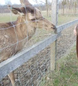 Széchenyi Zsigmond Mezőgazdasági Szakgimnázium & Szakközépiskola Kollégiuma