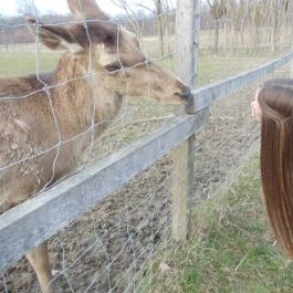 Széchenyi Zsigmond Mezőgazdasági Szakgimnázium & Szakközépiskola Kollégiuma Somogyzsitfa - Környék