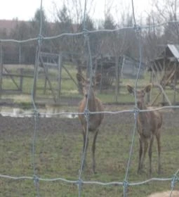 Széchenyi Zsigmond Mezőgazdasági Szakgimnázium & Szakközépiskola Kollégiuma