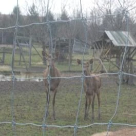 Széchenyi Zsigmond Mezőgazdasági Szakgimnázium & Szakközépiskola Kollégiuma Somogyzsitfa - Környék