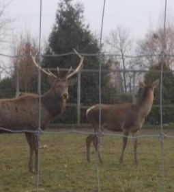 Széchenyi Zsigmond Mezőgazdasági Szakgimnázium & Szakközépiskola Kollégiuma
