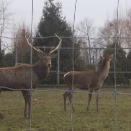 Széchenyi Zsigmond Mezőgazdasági Szakgimnázium & Szakközépiskola Kollégiuma Somogyzsitfa - Környék