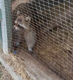 Széchenyi Zsigmond Mezőgazdasági Szakgimnázium & Szakközépiskola Kollégiuma