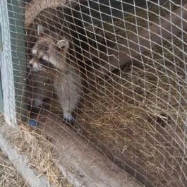Széchenyi Zsigmond Mezőgazdasági Szakgimnázium & Szakközépiskola Kollégiuma Somogyzsitfa - Környék