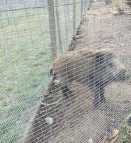 Széchenyi Zsigmond Mezőgazdasági Szakgimnázium & Szakközépiskola Kollégiuma