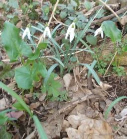 Széchenyi Zsigmond Mezőgazdasági Szakgimnázium & Szakközépiskola Kollégiuma
