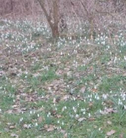 Széchenyi Zsigmond Mezőgazdasági Szakgimnázium & Szakközépiskola Kollégiuma