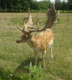 Széchenyi Zsigmond Mezőgazdasági Szakgimnázium & Szakközépiskola Kollégiuma