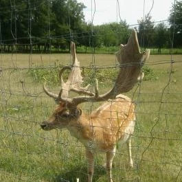 Széchenyi Zsigmond Mezőgazdasági Szakgimnázium & Szakközépiskola Kollégiuma Somogyzsitfa - Környék