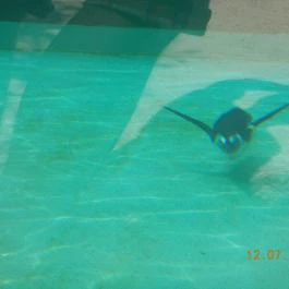 Veszprémi Állatkert Veszprém - Egyéb