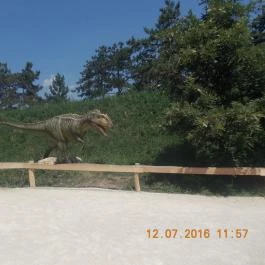 Veszprémi Állatkert Veszprém - Egyéb