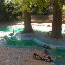 Veszprémi Állatkert Veszprém - Egyéb