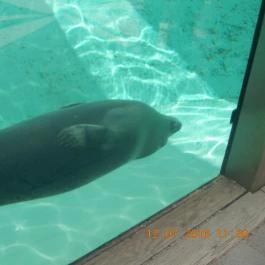 Veszprémi Állatkert Veszprém - Egyéb