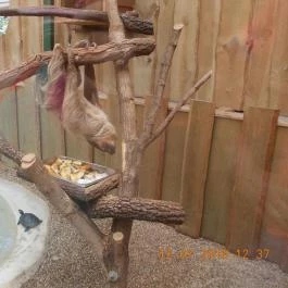 Veszprémi Állatkert Veszprém - Egyéb