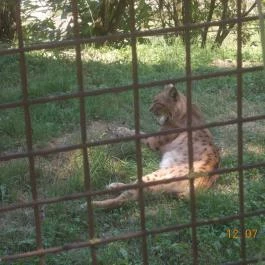 Veszprémi Állatkert Veszprém - Egyéb