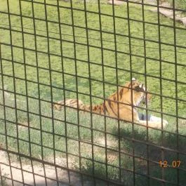 Veszprémi Állatkert Veszprém - Egyéb