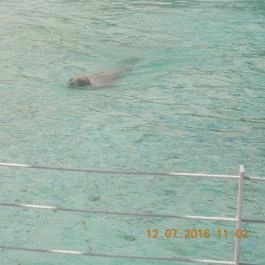 Veszprémi Állatkert Veszprém - Egyéb