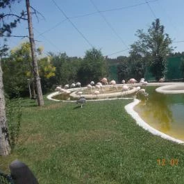 Veszprémi Állatkert Veszprém - Egyéb