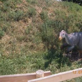 Veszprémi Állatkert Veszprém - Egyéb