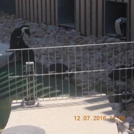 Veszprémi Állatkert Veszprém - Egyéb