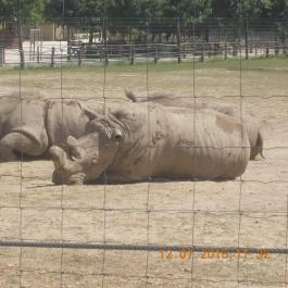 Veszprémi Állatkert Veszprém - Egyéb