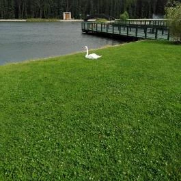 Zalakaros Termáltó & Ökopart, Zalakaros - 