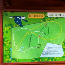 Gödöllői Arbo-park Gödöllő - Egyéb