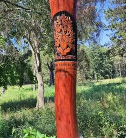 Gödöllői Arbo-park