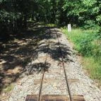 Gödöllői Arbo-park Gödöllő - Egyéb