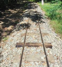 Gödöllői Arbo-park