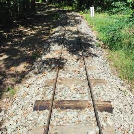 Gödöllői Arbo-park Gödöllő - Egyéb
