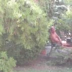 Hotel Mária Balatonmáriafürdő - Egyéb