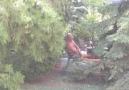 Hotel Mária Balatonmáriafürdő