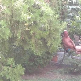 Hotel Mária Balatonmáriafürdő - Egyéb