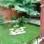 Ot-tó Étterem Pusztaszabolcs - Egyéb