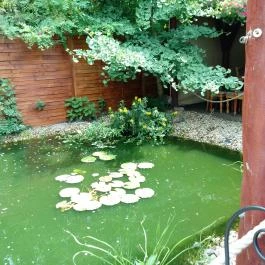 Ot-tó Étterem, Pusztaszabolcs - Egyéb