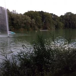 Old Negresco Étterem, Gyömrő - Egyéb