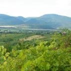 Magita Hotel Erdőbénye - Környék