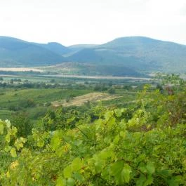 Magita Hotel, Erdőbénye - Környék