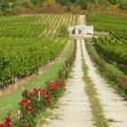 Magita Hotel Erdőbénye - Környék