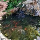 Apartman Bella Panzió Siófok - Egyéb