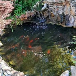 Apartman Bella Panzió, Siófok - Egyéb