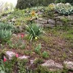 Margitszigeti Japánkert Budapest - Egyéb