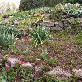 Margitszigeti Japánkert Budapest - Egyéb