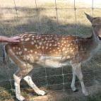 Hotel Európa Gunaras Dombóvár - Egyéb